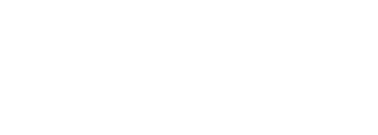 Logo Briezza Cursos Blanco Transparente